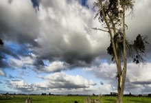 kaiyun,开云关于法国杯赛程吃紧；布鲁克林篮网加时末段队长鼓劲；态度坚定；细节决定成败的信息